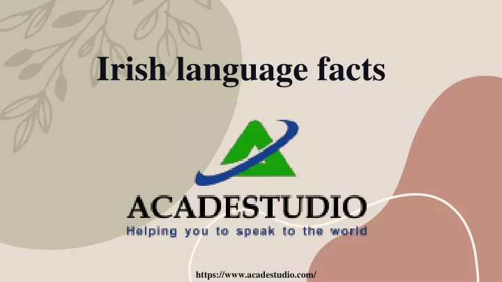 irish language facts