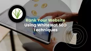 rank your website using white hat seo techniques