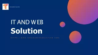i t a n d w e b solution