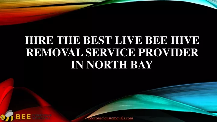 hire the best live bee hive removal service provider in north bay