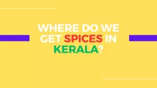 Where do we get spices in Kerala