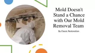 Mold Doesn't Stand a Chance with Our Mold Removal Team
