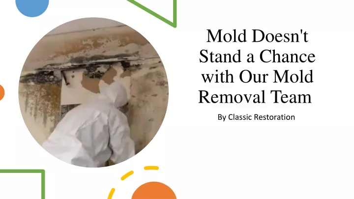 mold doesn t stand a chance with our mold removal team