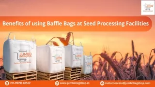Benefits of using Baffle Bags at Seed Processing Facilities