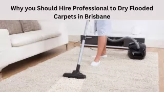 Why you should hire professional to dry flooded carpets in Brisbane