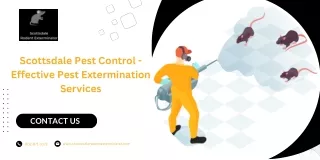 Scottsdale Pest Control - Effective Pest Extermination Services