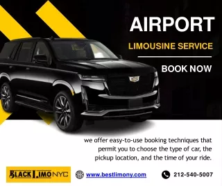 Airport limousine service (2)