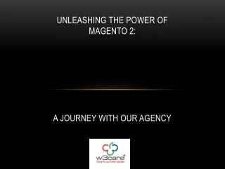 Magento 2 Development Services
