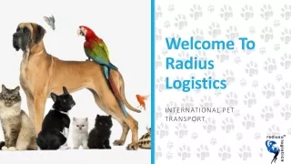 Pet Logistics Services In Delhi | Pet Relocation Services