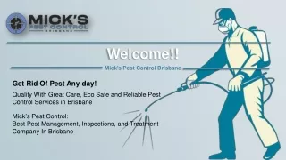 Mick’s Pest Control Brisbane