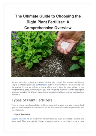 the ultimate guide to choosing the right plant