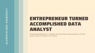 Data Analysis for Entrepreneurs: Oluwakayode Adebusuyi Expert Advice