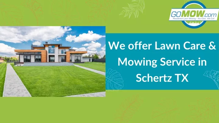 we offer lawn care mowing service in schertz tx