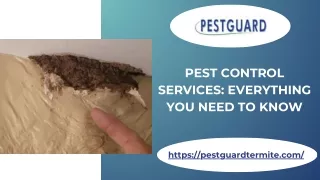 Pest Control Services: Everything You Need To Know