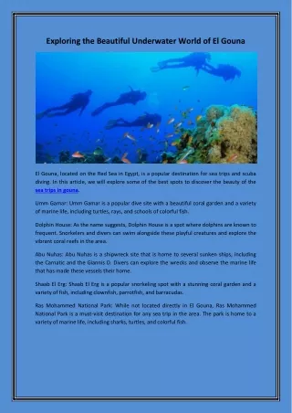 sea trips in gouna