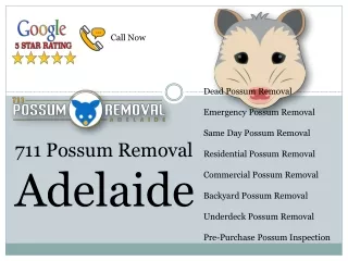 711 Possum Removal Adelaide