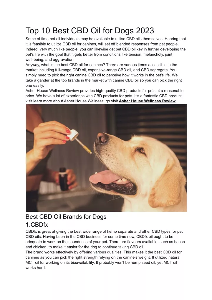 top 10 best cbd oil for dogs 2023 some of time