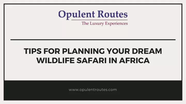 tips for planning your dream wildlife safari