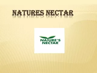 Best Organic Honey | Natures Nectar