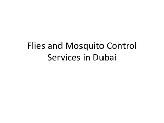Flies and Mosquito Control Services in Dubai