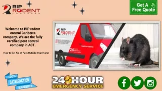 welcome to rip rodent control canberra company
