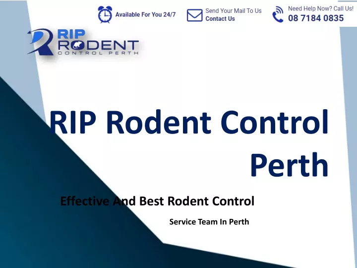rip rodent control perth