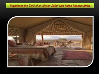 Experience the Thrill of an African Safari with Safari Seekers Africa