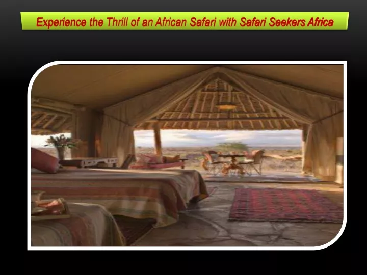 experience the thrill of an african safari with