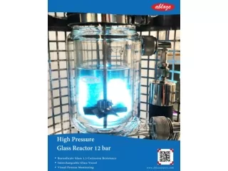 High Pressure Glass Reactor