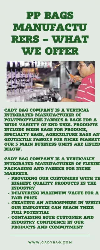 PP Bags Manufacturers – What We Offer - PDF