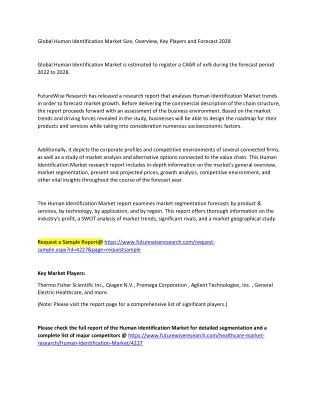 global human identification market size overview