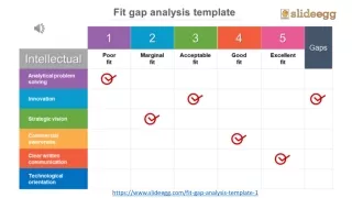 Fit Gap Analysis PPT Presentation