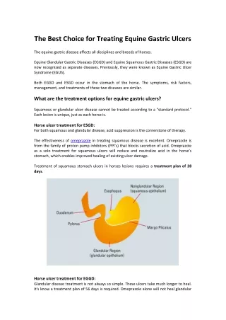 The Best Choice for Treating Equine Gastric Ulcers