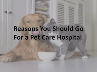Reasons You Should Go For a Pet Care Hospital