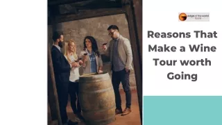 Reasons That Make a Wine Tour worth Going