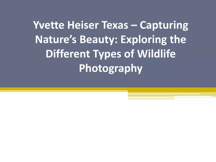 yvette heiser texas capturing nature s beauty exploring the different types of wildlife photography