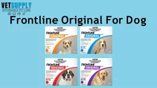 Buy Frontline Original Flea Treatment for Dogs Online | VetSupply
