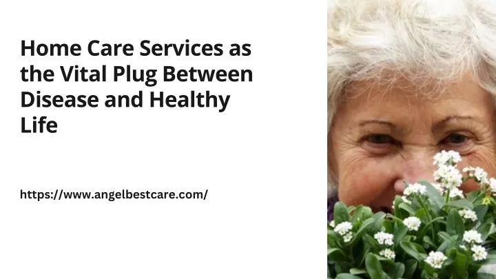 home care services as the vital plug between