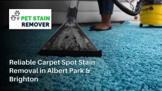 Reliable Carpet Spot Stain Removal in Albert Park & Brighton