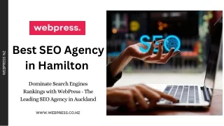 Best SEO Agency in Hamilton