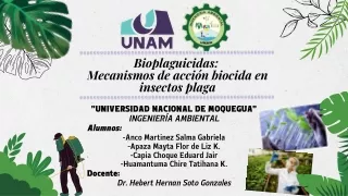 Grupo 4A - Bioplaguicidas