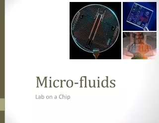 micro fluids lab on a chip