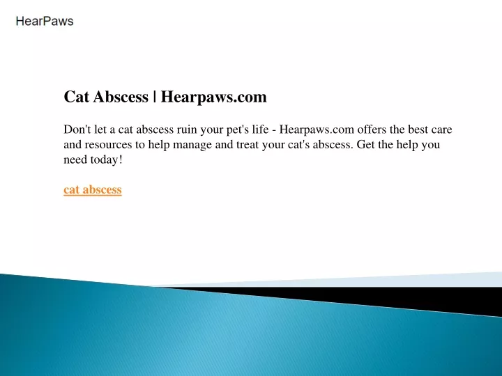 cat abscess hearpaws com don t let a cat abscess