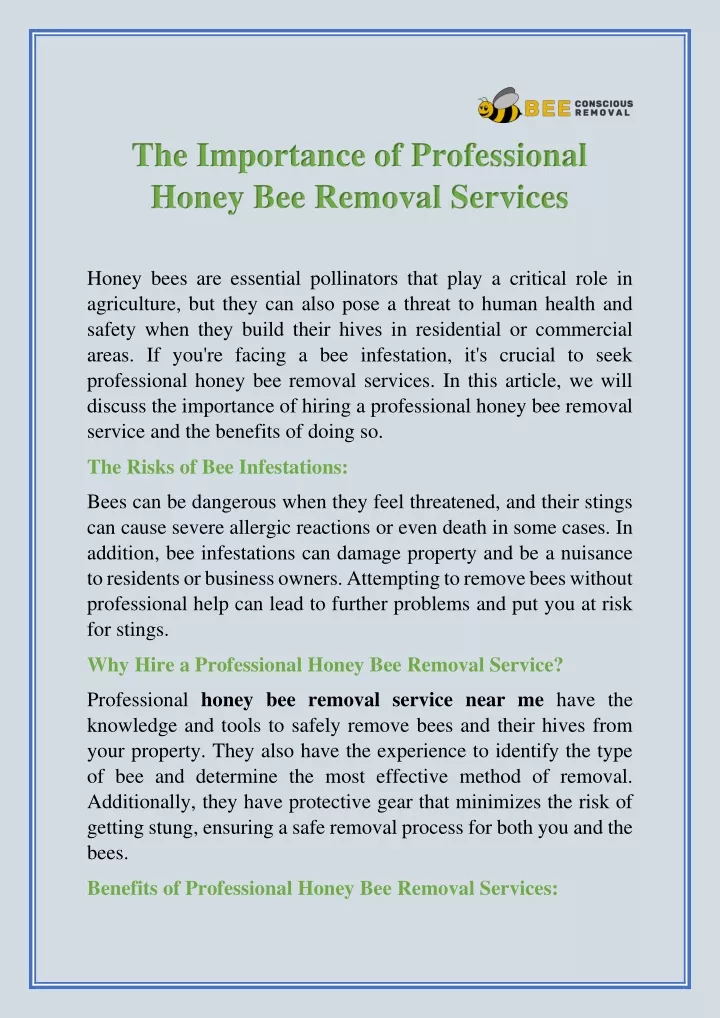 the importance of professional honey bee removal