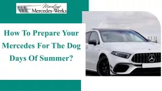 How To Prepare Your Mercedes For The Dog Days Of Summer