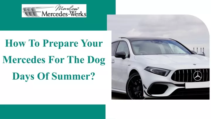 how to prepare your mercedes for the dog days