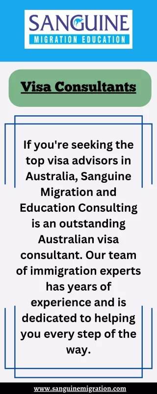 visa consultants