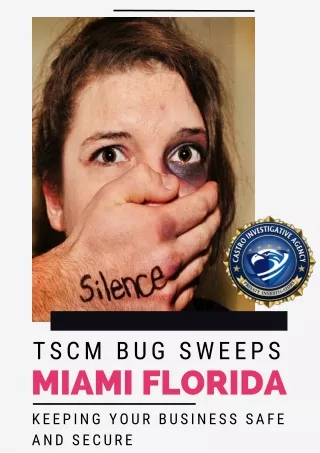 Tscm Bug Sweeps Miami Florida