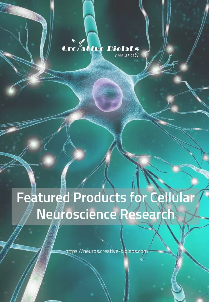 featured products for cellular neuroscience