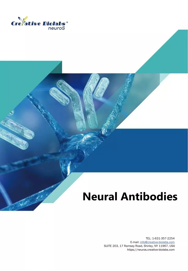 neural antibodies